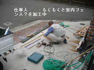 ウッドデッキ改修工事12日目 片付けとサプライズ_f0031037_2213698.jpg