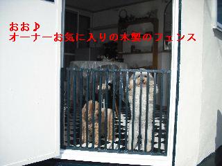 ウッドデッキ改修工事12日目 片付けとサプライズ_f0031037_2233113.jpg