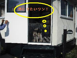 ウッドデッキ改修工事12日目 片付けとサプライズ_f0031037_2234395.jpg