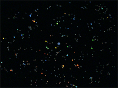 e0005548_24481.gif
