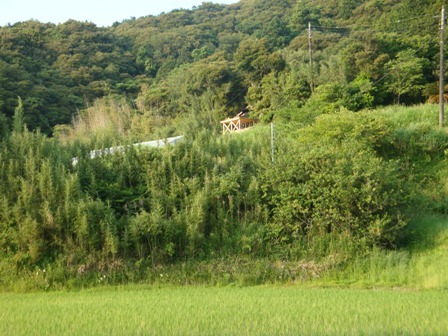 b0128954_13223831.jpg