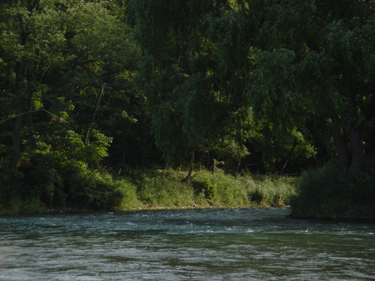 c0080856_72117.jpg