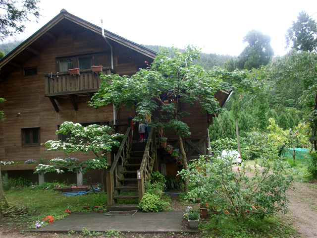 d0141173_2318231.jpg