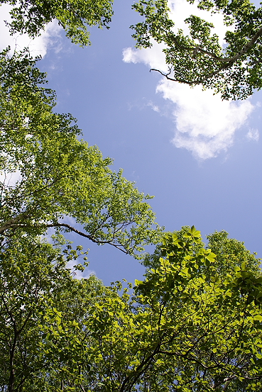 e0165983_1423530.jpg