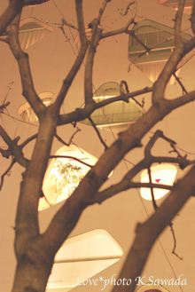 Living room cafe 写真グループ展\"リビングルームからはじまる優しい時間\" & 写真の話_a0115684_22394857.jpg