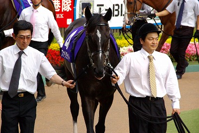 なんてスリリングな末脚！ウオッカ、ダービー馬対決を制し安田記念連覇_b0015386_143554.jpg