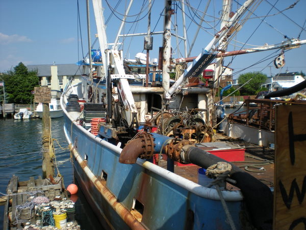f0024887_75136.jpg