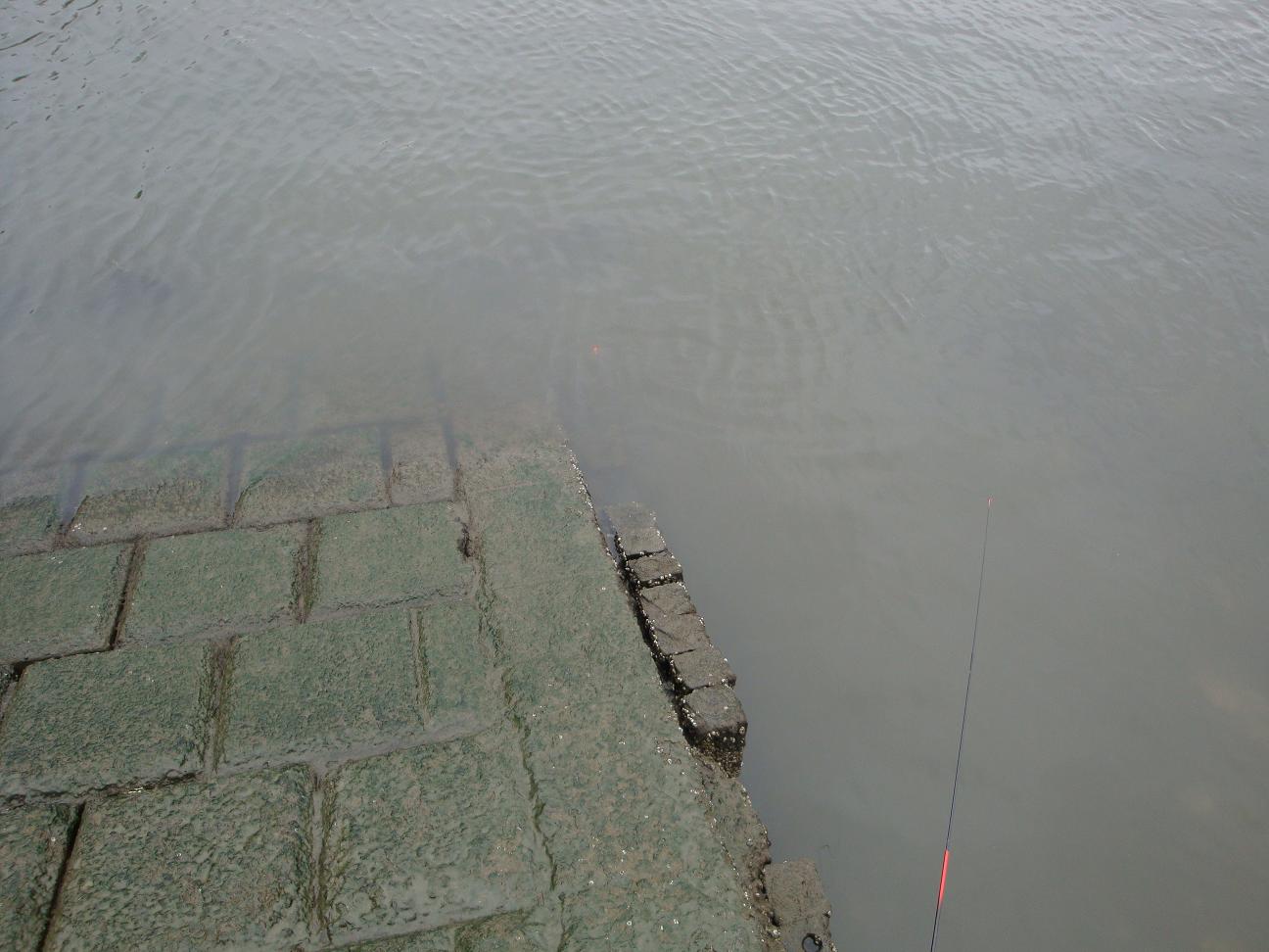 f0191888_18592620.jpg