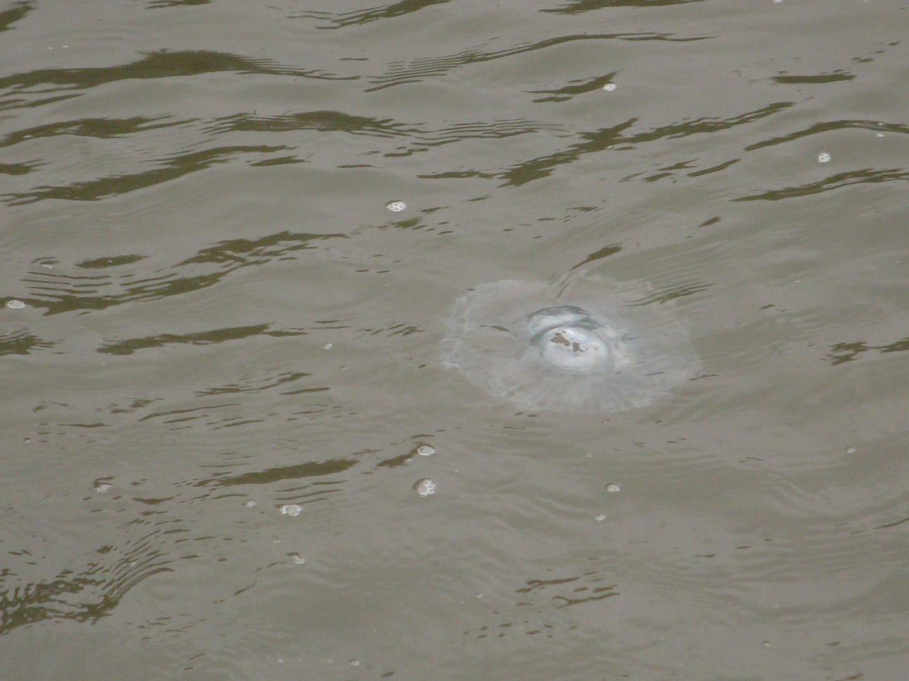 f0191888_18593754.jpg
