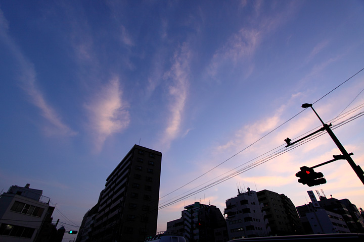 Sometime in Tokyo City 6_b0067789_21194599.jpg