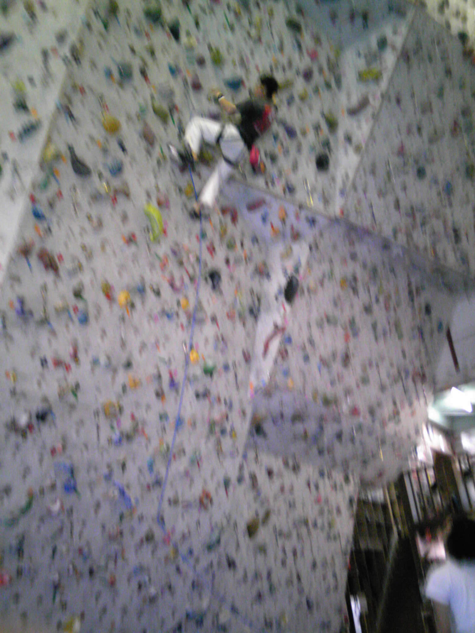c0014295_93230.jpg