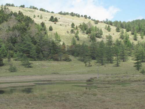 e0120896_6341588.jpg
