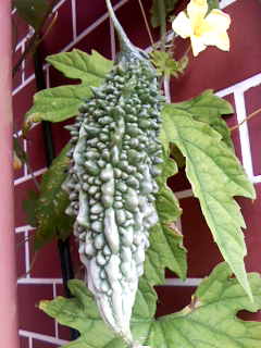 c0037701_14323540.jpg
