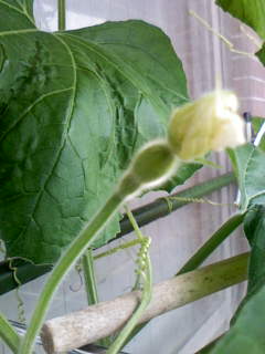 c0037701_14331215.jpg
