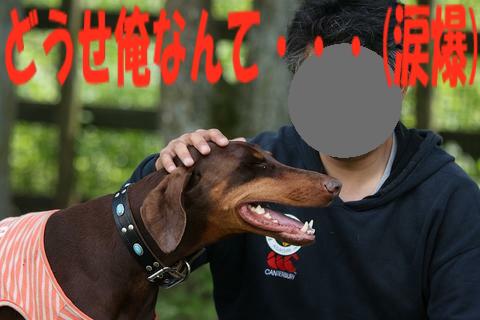 e0100007_21533699.jpg