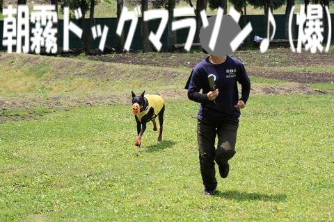 e0100007_2154679.jpg