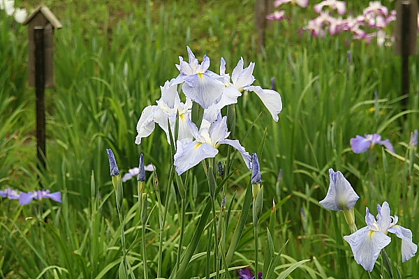 f0186509_23174080.jpg