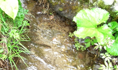 f0006510_21304210.jpg