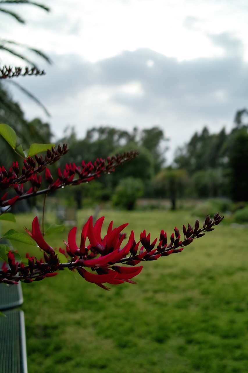 b0137311_22313759.jpg