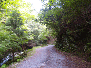 b0176111_21362491.gif