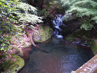 b0176111_2242136.gif