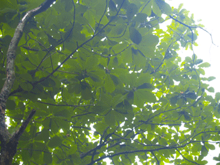 b0176111_2283123.gif