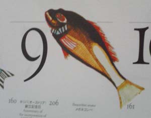 c0174711_12364130.jpg