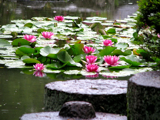 平安神宮 水に映る_e0048413_2131178.jpg