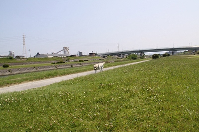 f0191413_1045138.jpg