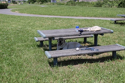f0191413_1047138.jpg