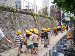 梅雨入り宣言と我が家の花♪_c0185914_2131320.jpg