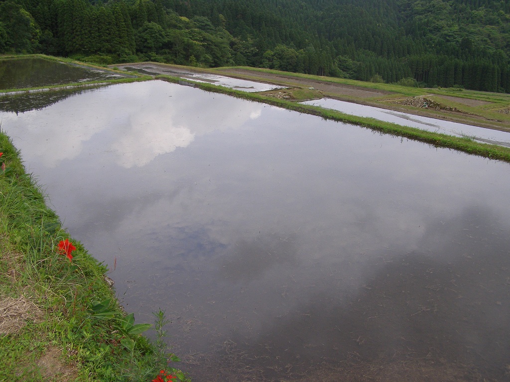 本日、梅雨入り・・・_d0009116_18534215.jpg