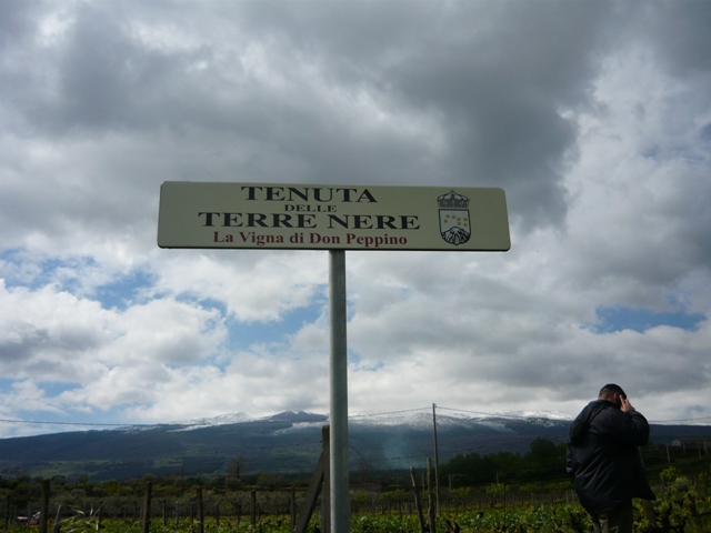 c0159117_23453100.jpg