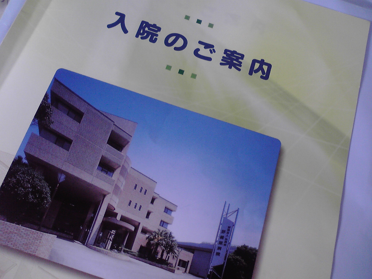 d0141922_1155527.jpg