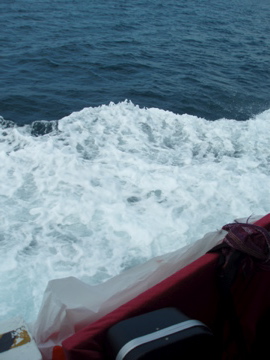 f0206529_166689.jpg