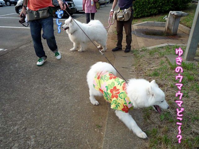 やっぱり楽しいおっきな公園_c0062832_1617026.jpg