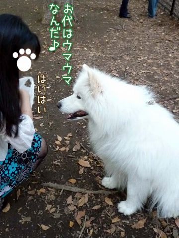 やっぱり楽しいおっきな公園_c0062832_16172532.jpg