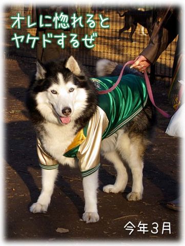 やっぱり楽しいおっきな公園_c0062832_1657115.jpg