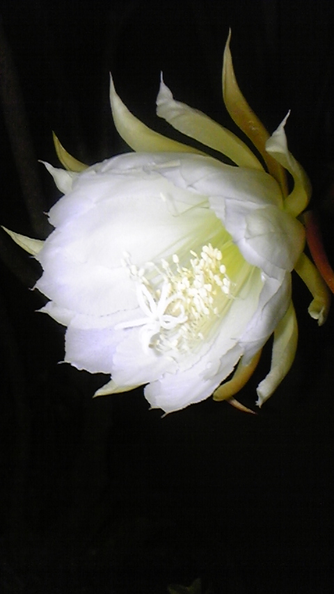 f0147032_2123102.jpg