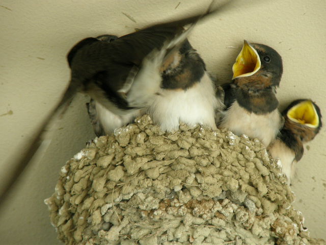 c0141933_072391.jpg