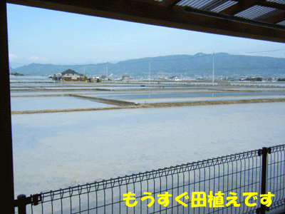 f0008935_136671.gif