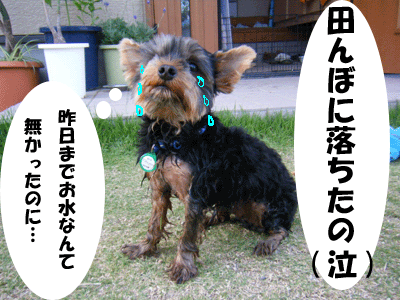 f0008935_1372325.gif