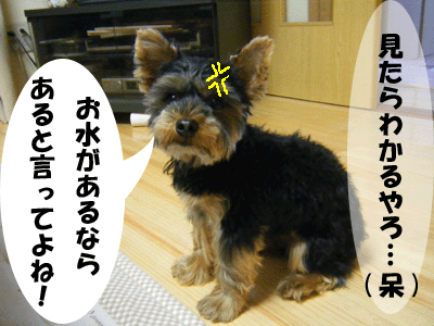 f0008935_139290.gif