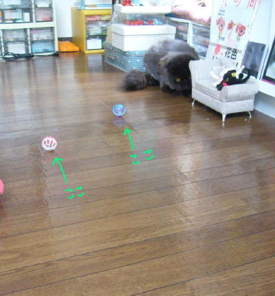 サッカー？_d0152937_2151104.jpg