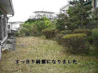 50本の植木剪定_f0031037_21161435.jpg