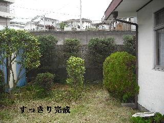 50本の植木剪定_f0031037_21163966.jpg