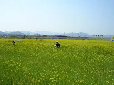 b0011345_69861.jpg