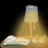 a0029347_811942.gif