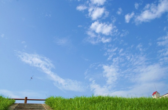 e0126350_2253290.jpg