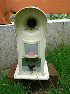 b0096552_22273956.jpg